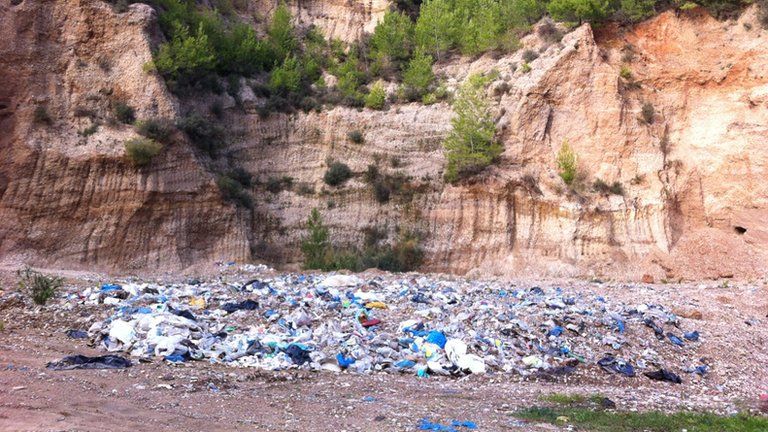 Rubbish in a Greek pine forest