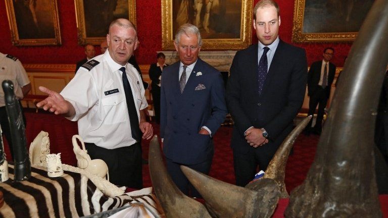 Prince Charles and Prince William examine items including a rhino horn