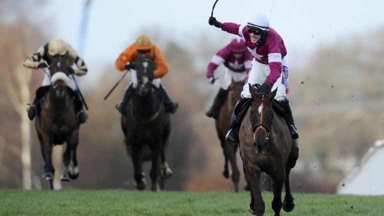 Philip Fenton: Tipperary horse trainer guilty over steroids - BBC News