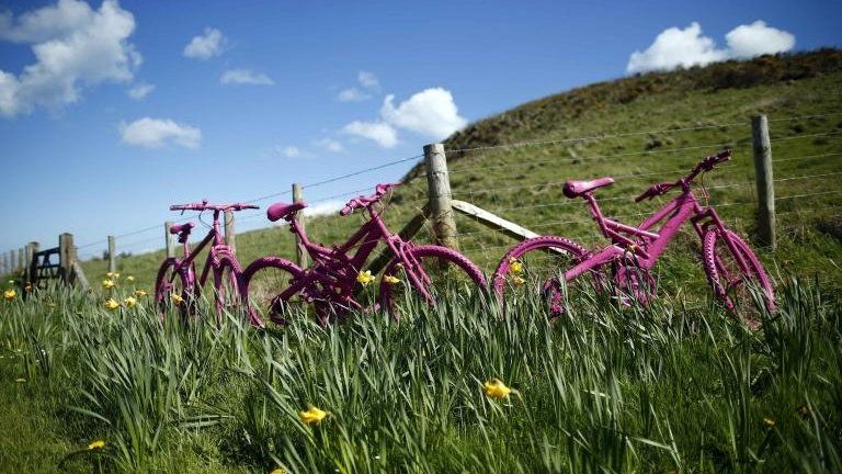 Pink bicycles in a field near the village of Ballintoy