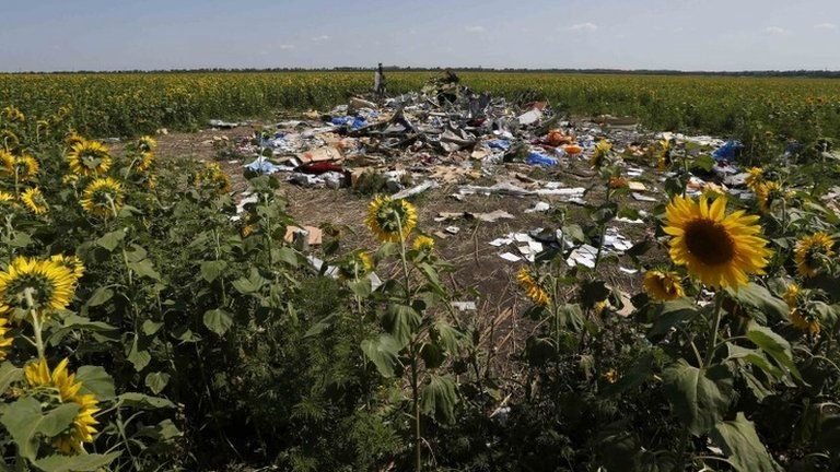 Debris at the site of the flight MH17 crash in eastern Ukraine, 26 July