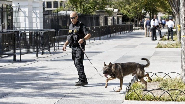 A US Secret Service K-9 sweeps the sidewalk around the White House facing Pennsylvania Avenue, in Washington 23 September 2014