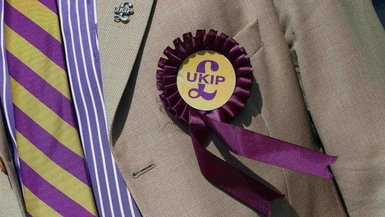 File photo of a supporter wearing a United Kingdom Independence Party (UKIP) badge
