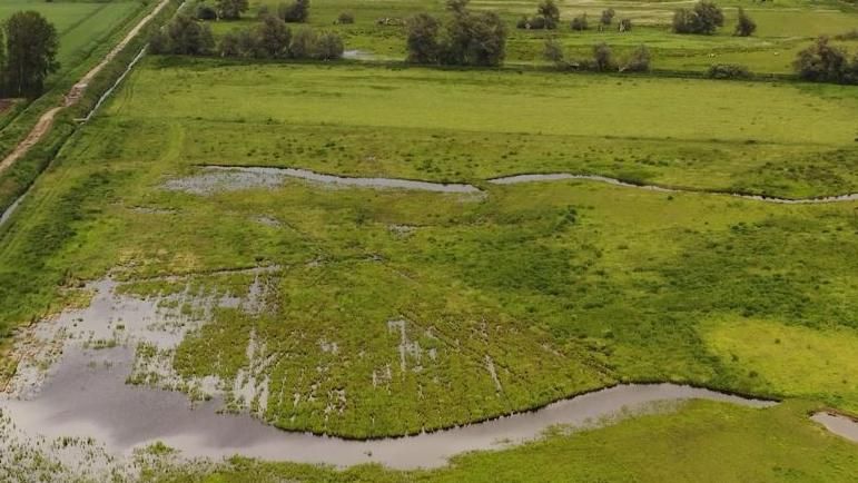 An aerial shot of fields after drainage pipes were removed showing two water channels forming and scrubby plants, Lakenheath Fen