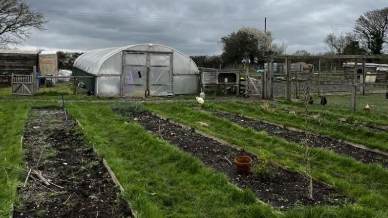 Picture of vegetable beds and a polytunnel