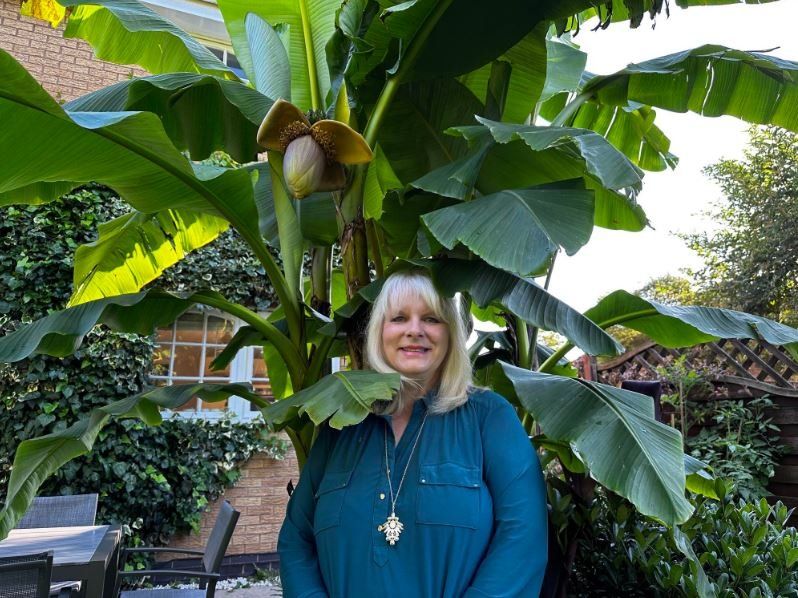 Julia Brown and the banana plant