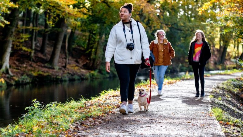 Yorkshire Day Walking Bid Launched By Tourism Body Bbc News