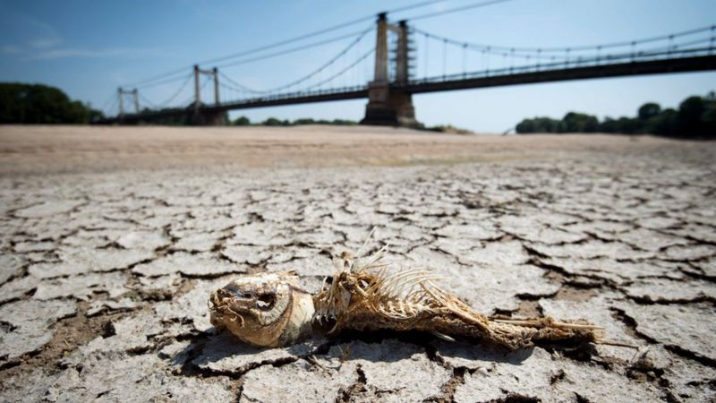 High-Quality Here’s Why Europe’s Heatwave Is Bad News For Renewables - Even Solar Picture Art High-Quality Here’s Why Europe’s Heatwave Is Bad News For Renewables - Even Solar Picture Art