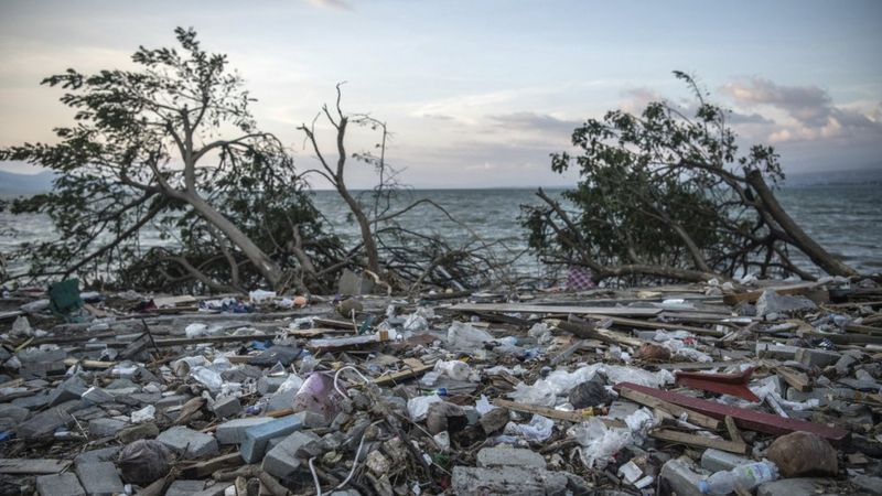 Indonesia Earthquake And Tsunami: Dead Buried In Mass Grave - BBC News