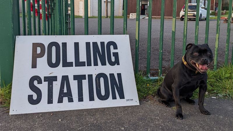 A small black dog next to a Polling Station sign