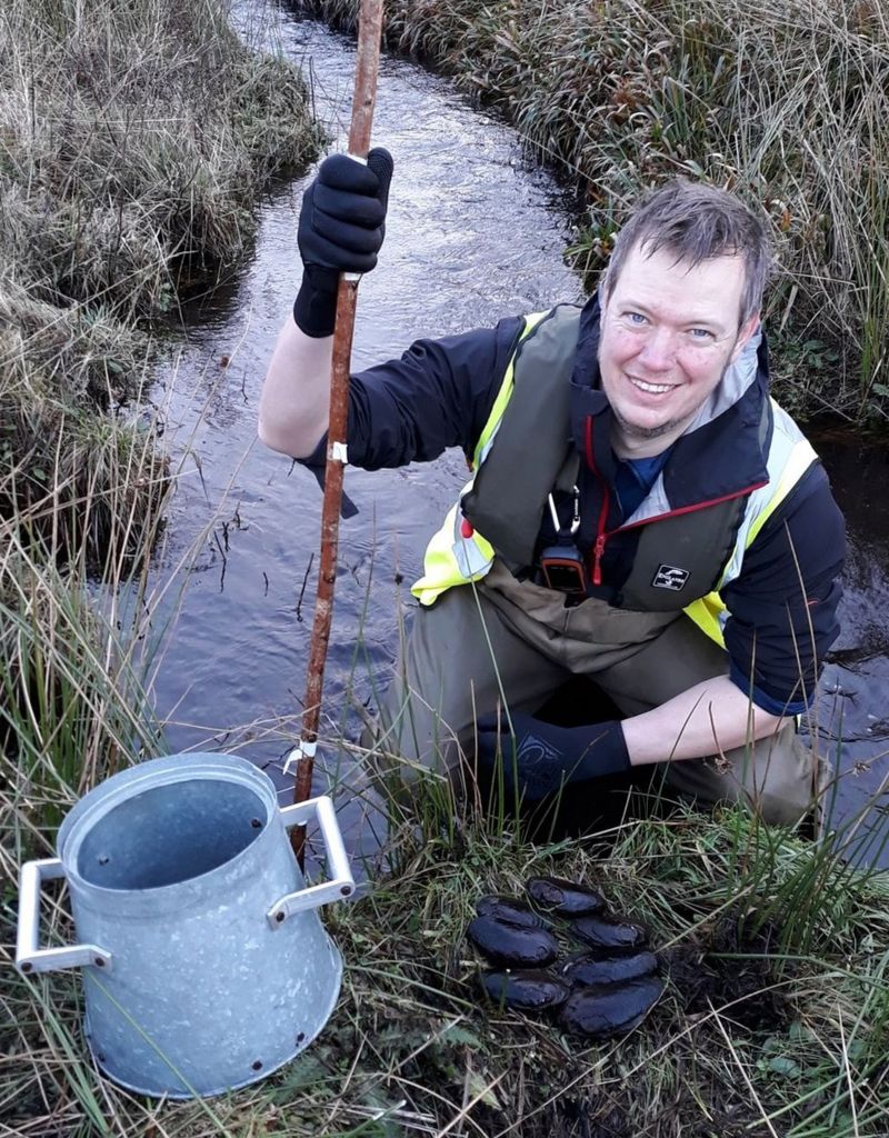 New colony of rare freshwater pearl mussels found in Highlands BBC News