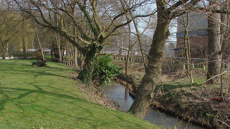 A small river runs through a park with trees on its bank. 