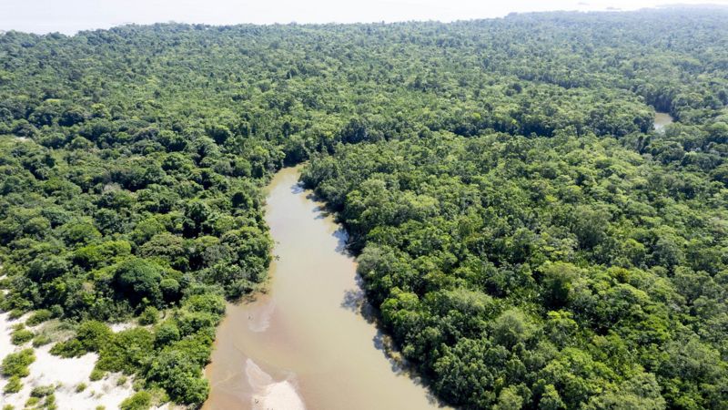 Terra preta: el misterio del origen del "oro negro" del Amazonas