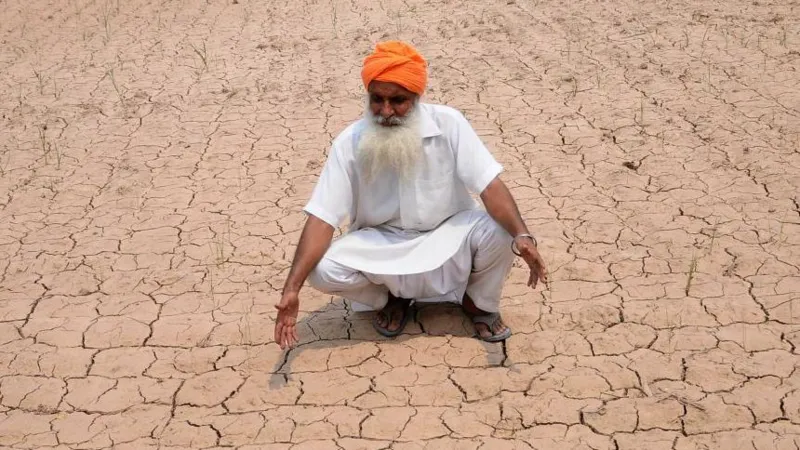 Preocupación en el sector agrícola tras registrarse en India el junio más seco en más de una década.