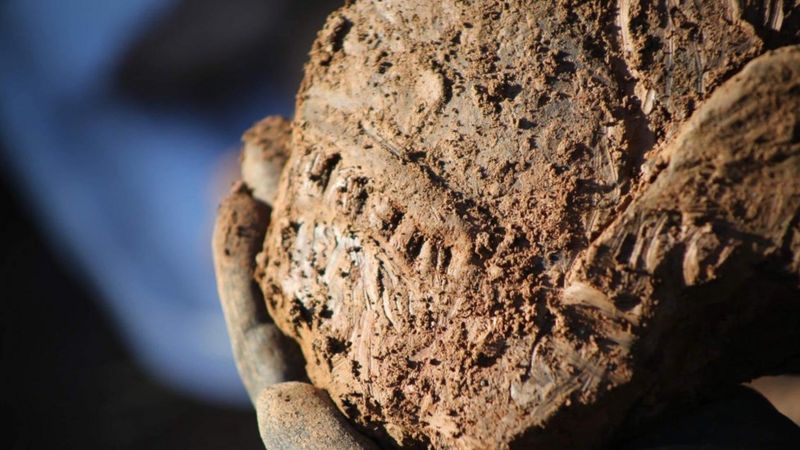 Cardiff: Archaeological Dig Uncovers Earliest House In City - BBC News