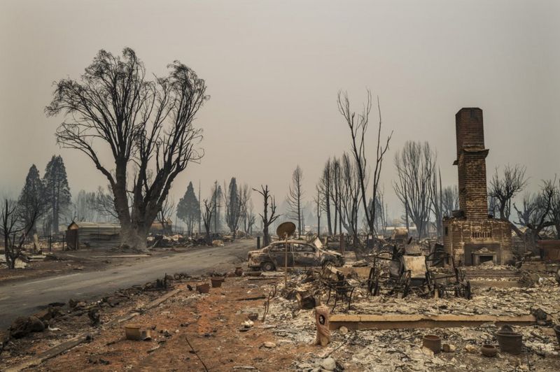 California's fires threaten to ravage mighty sequoia forests - BBC News