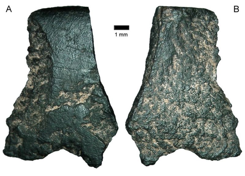 oldest-axe-was-made-by-early-australians-bbc-news