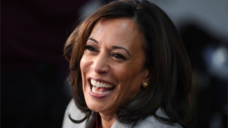 Kamala Harris VP pick: How she could help - or hurt - Joe Biden - BBC News