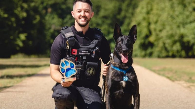 Cheshire Police dog and handler win crime fighting award - BBC News