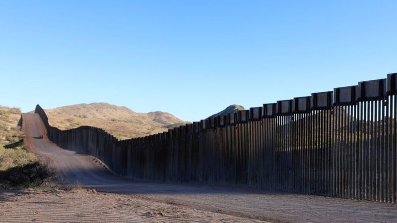 Image of bird at US-Mexico border wall wins contest - BBC News