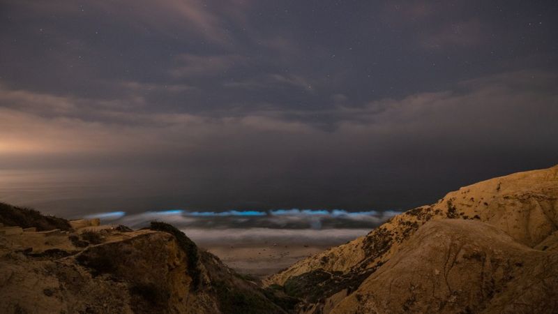 In pictures: California's neon blue tide - BBC News