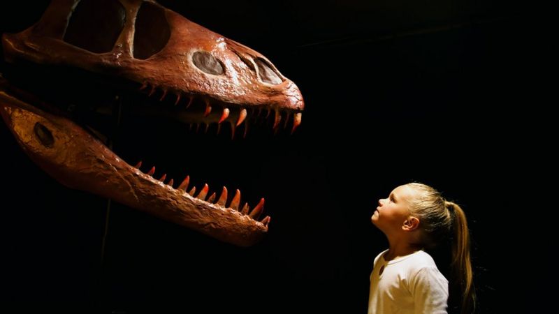 Did humans and dinosaurs live at the same time? - BBC Newsround