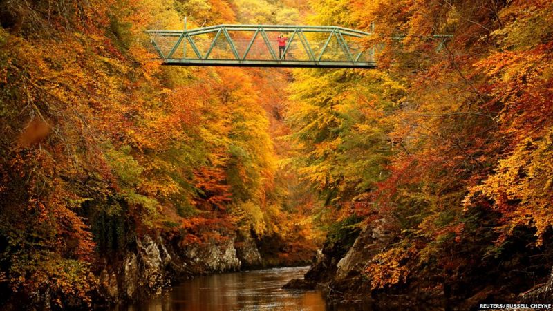 The beauty of autumn - BBC Weather