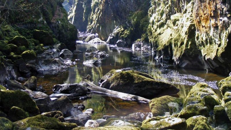 Snowdonia fall: Woman winched out of Fairy Glen gorge - BBC News