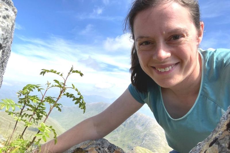 Trees found growing at record altitudes up Scotland's Munros BBC News