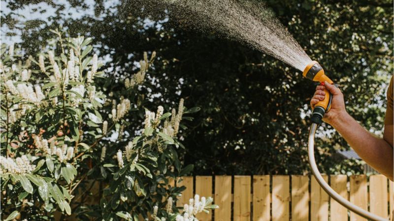 thames water hosepipes