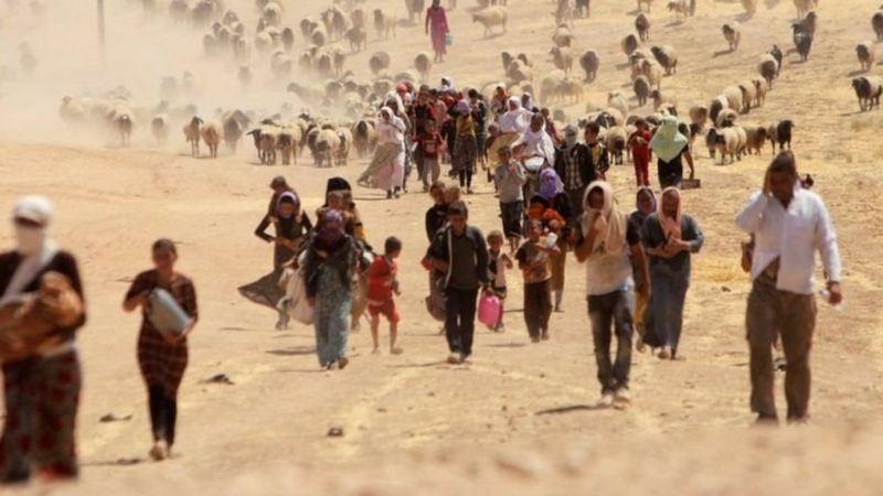 Десятки тысяч езидов бежали от наступления ИГ, бросая дома и скот