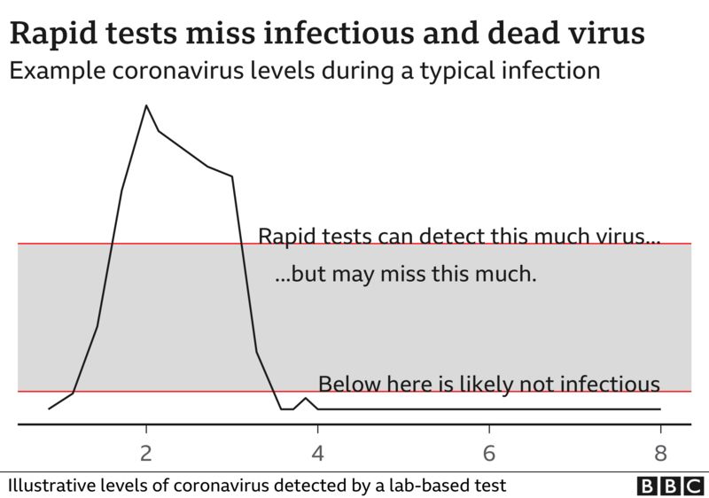 Covid Rapid tests 'useful public health tool' BBC News