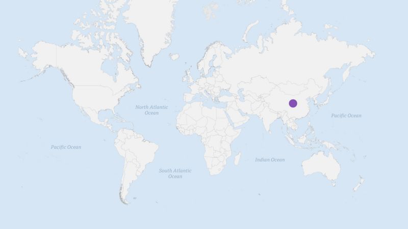 Un punto morado sobre Wuhan, representando las primeras muestras nasales tomadas a pacientes de covid-19 y analizadas por científicos para revelar el genoma del virus.