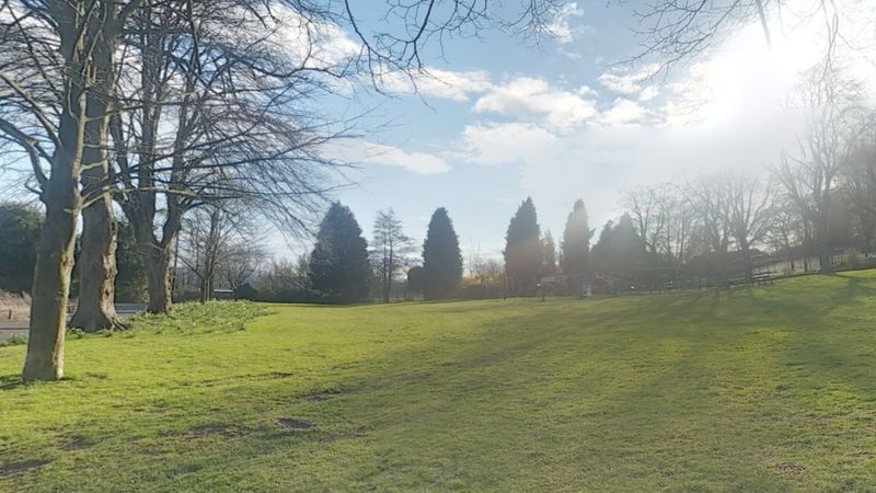 Telford play area to get £70,000 revamp including zip wire - BBC News