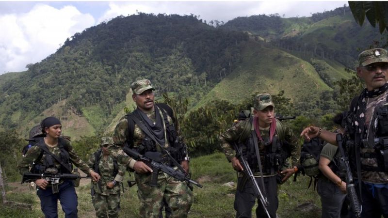 Colombia Farc guerrillas prepare finally for peace - BBC News