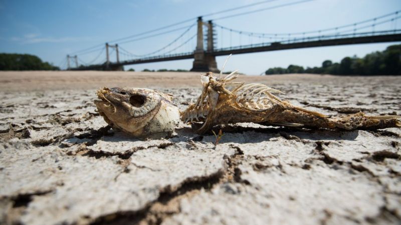 Climate Change: Heatwave Made Up To 3C Hotter By Warming - BBC News