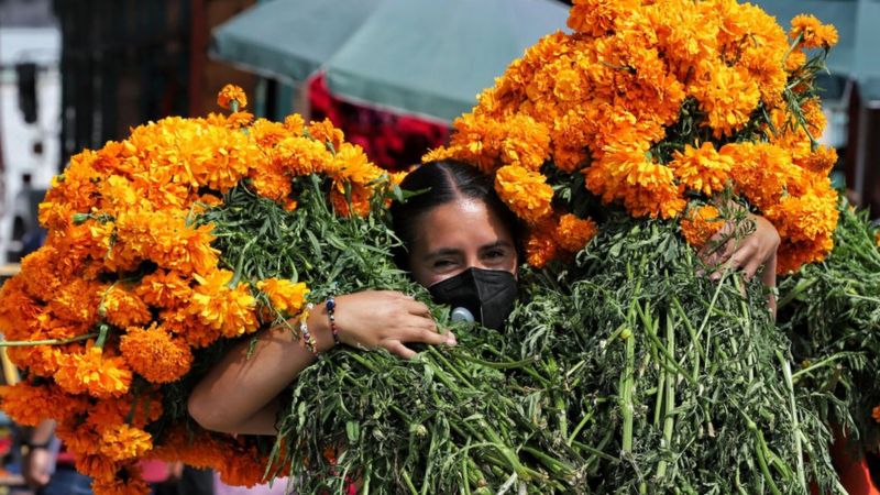 flor de cempasúchil en ramo