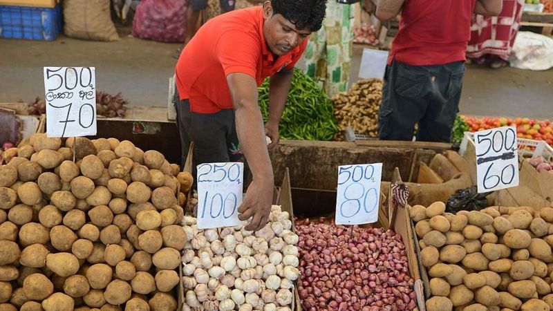 Agriculture La Pomme De Terre Rempart Contre La Guerre Bbc News Afrique 0511