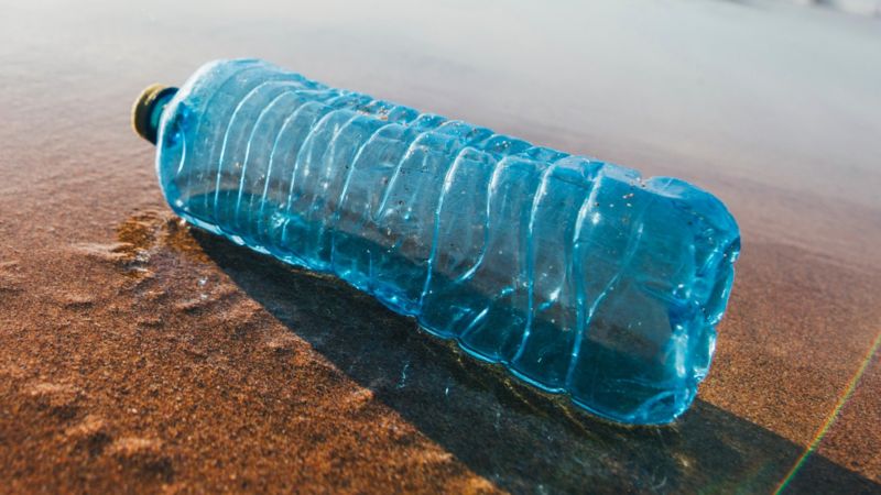 Plastic-eating bacteria could help to solve a pollution problem ...