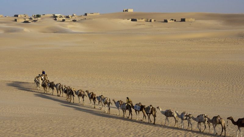 Mali Country Profile Bbc News