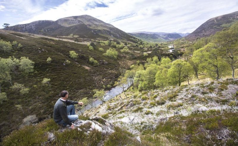 The place where wolves could soon return - BBC News