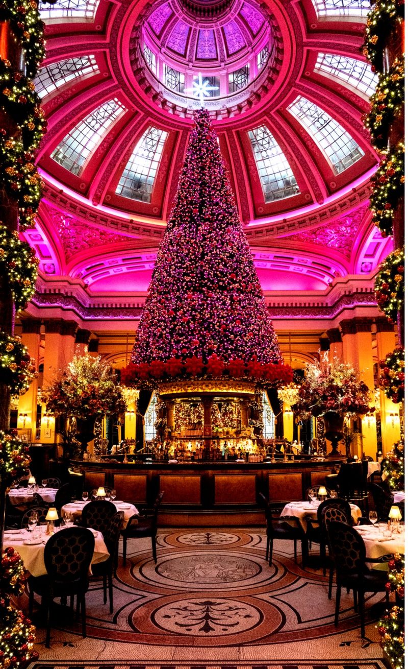 In pictures Scotland's amazing Christmas trees BBC News