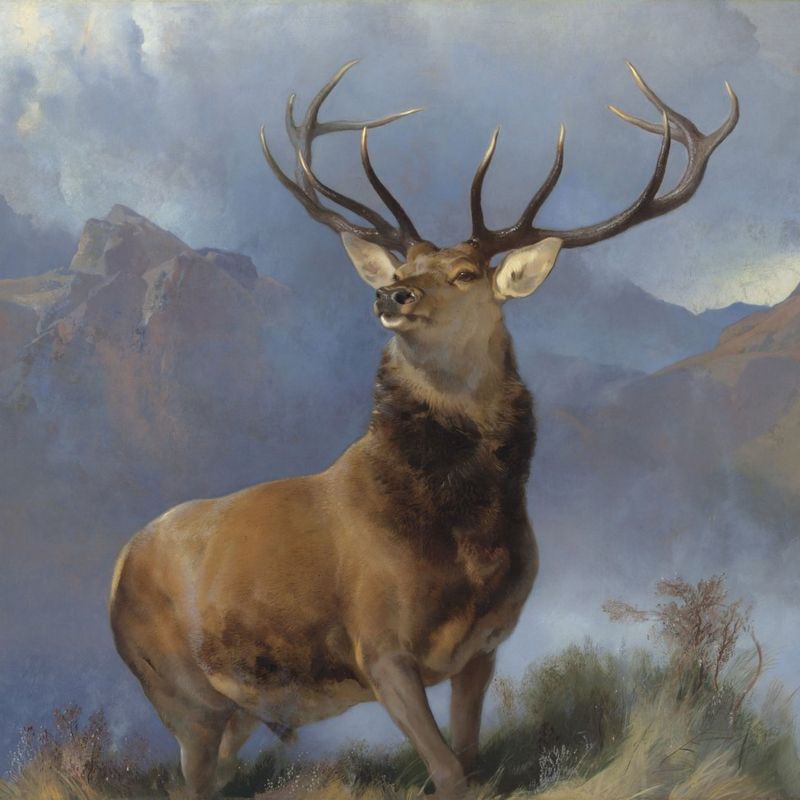 monarch-of-the-glen-painting-tour-locations-revealed-bbc-news