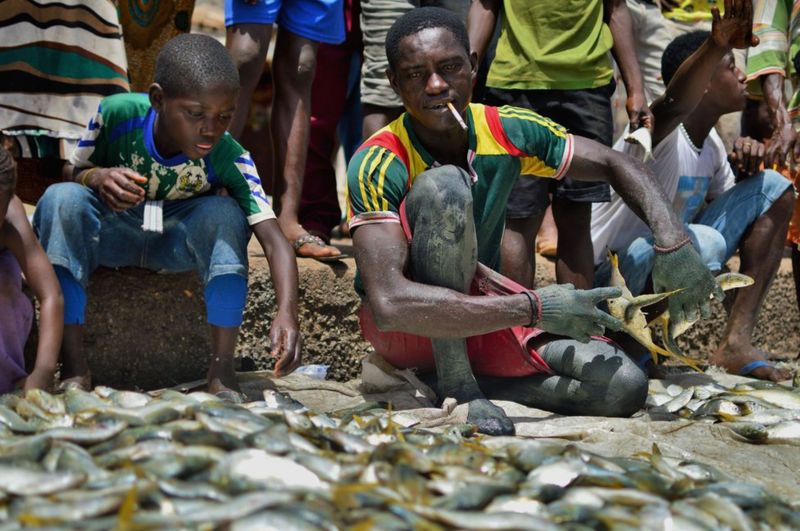 In Pictures Fishing In Sierra Leone Bbc News