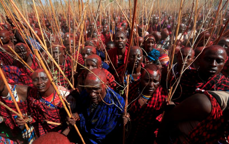 Africa's week in pictures: 18 - 24 September 2020 - BBC News