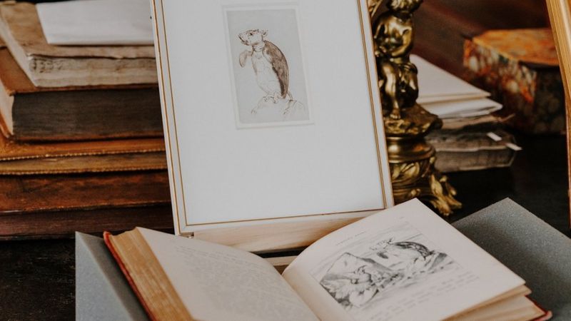 Beloved children's book illustrations on show at Longleat - BBC News