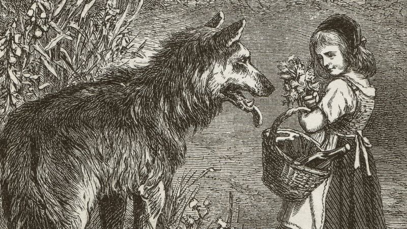 Why this woman hates to hear about 'big bad wolf' - BBC News