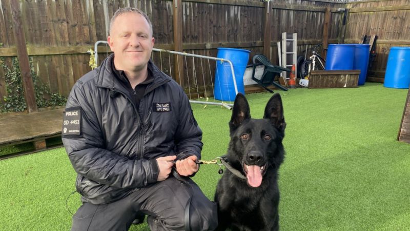 police-dog-ronnie-retires-after-crime-fighting-career-bbc-news