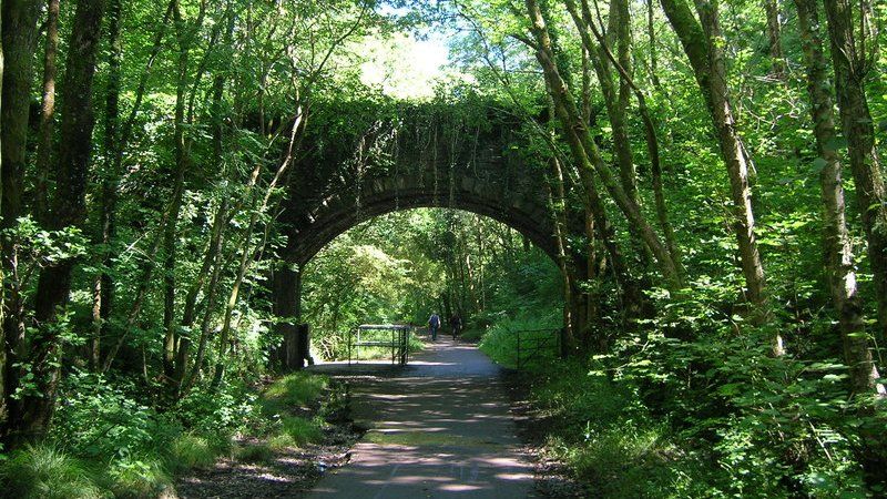 The Clyne Valley cycle path