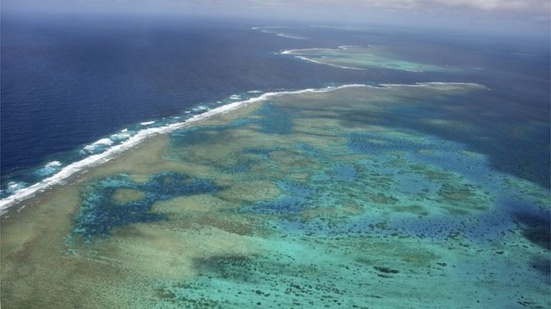 Great Barrier Reef: Swimming deaths prompt new safety rules - BBC News